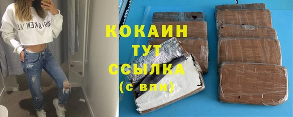 сатива Богородицк