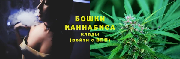 сатива Богородицк