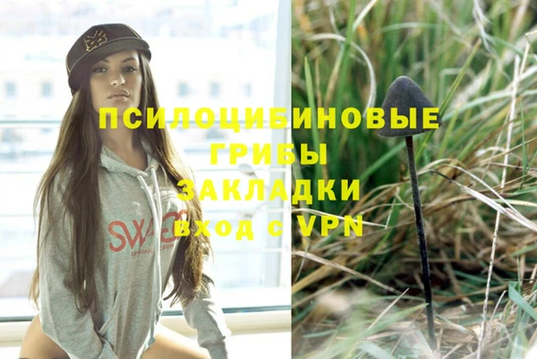 амфетамин Богданович