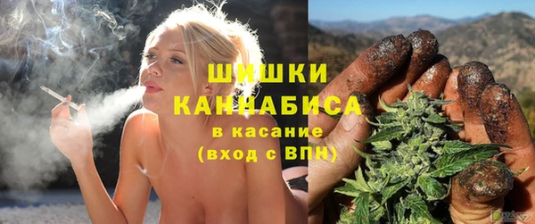 сатива Богородицк