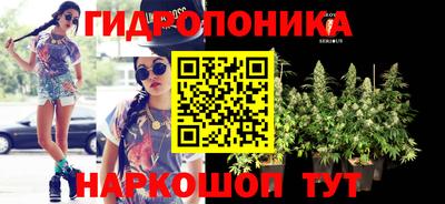 2c-b Можга